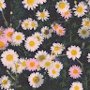 Meet your Posher, Trinity